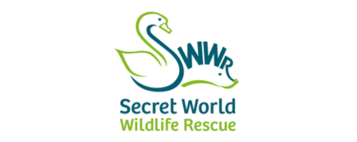 Secret World Logo