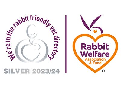 Rabbit Welfare 24