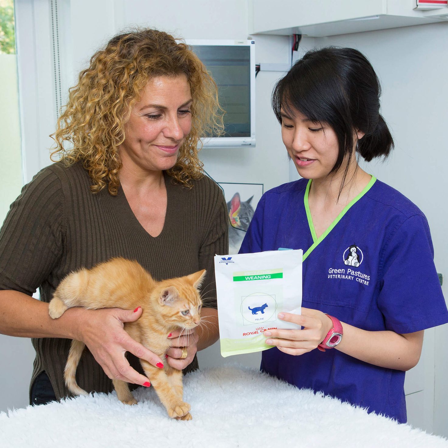 Staff Showing Medicine To Owner With Cat